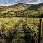 Charming With Private Pool In Chianti