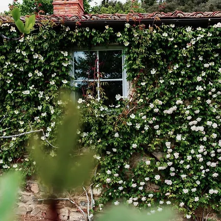 ヴィラ Charming With Private Pool In Chianti *