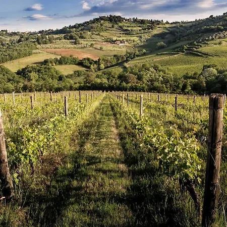 Charming With Private Pool In Chianti